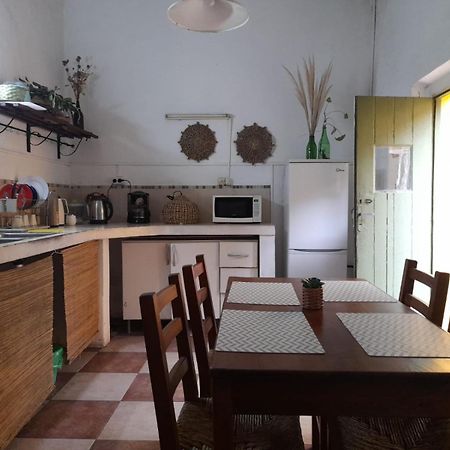 コロニア・デル・サクラメント Casa Calmaホステル エクステリア 写真